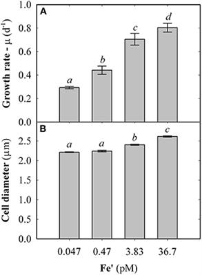 Long-Term Acclimation to Iron Limitation Reveals New Insights in Metabolism Regulation of Synechococcus sp. PCC7002